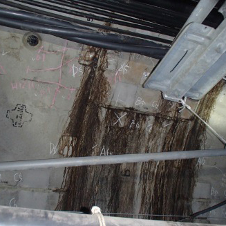 建物調査・診断