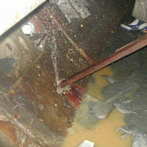 建物調査・診断